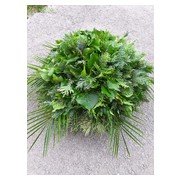 60-cm-atmeroju--fekvo--koszoru-alap