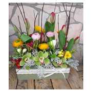 fa-ladikaba--szezonalis-viragok